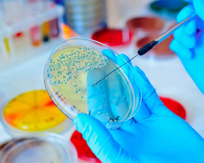 MICROBIOLOGÍA
